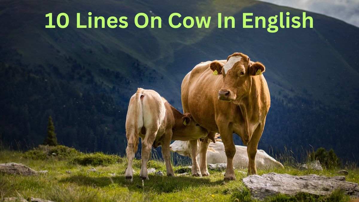 10 Lines on Cow In English